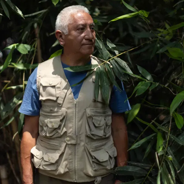 Xin Xin: ¿Quiénes son los Cuidadores de la Última Panda del Zoológico de Chapultepec?