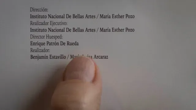 María Esther llevó al Palacio de Bellas Artes a JuanGa.