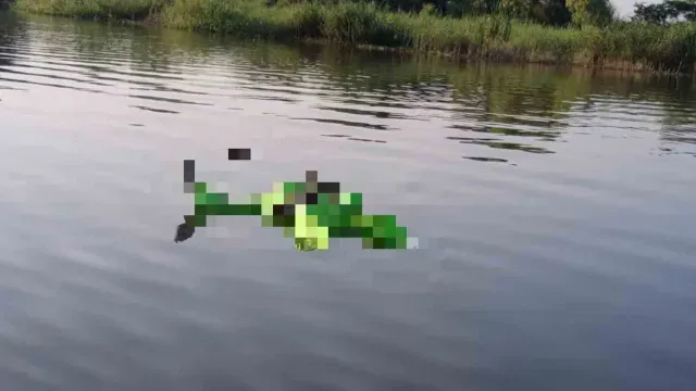 Localizan Cuerpo en Laguna del Chairel en Tampico