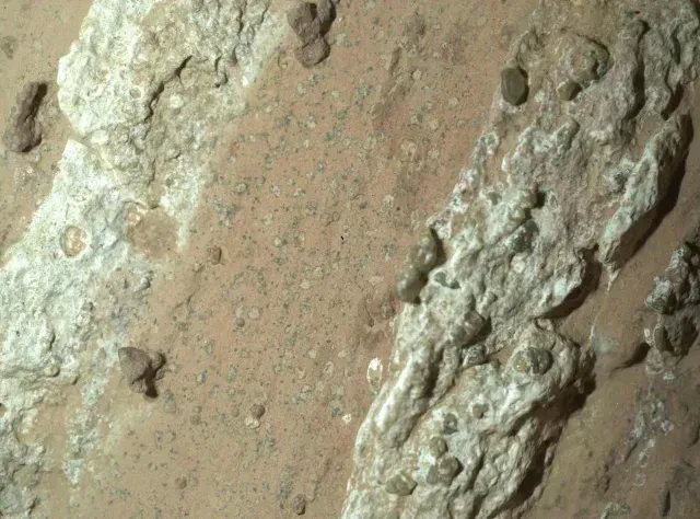 Posibles signos de vida hallados en una roca sedimentaria que interactuó con materia orgánica