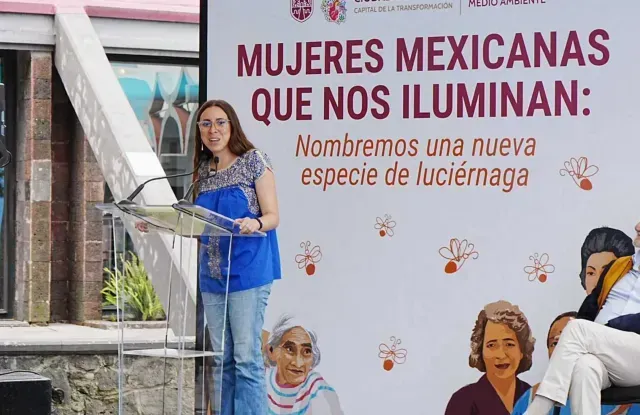 Julia Álvarez Icaza invitó a elegir el nombre de nueva especie de luciérnaga