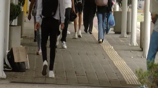 Expertos de la UdeG explican qué son los INCELS. Foto: N+