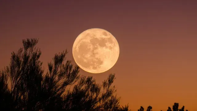 Luna nocturna Octubre 2025