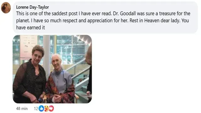 Jane Goodall fue despedida.