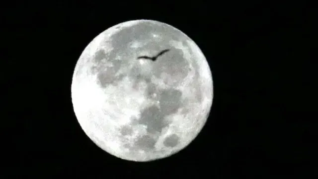 Luna llena de octubre, vista desde Guerrero. Foto: Cuartoscuro | Archivo