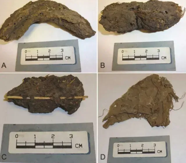 Descubren qué enfermedades atacaban a mexicanos del año 700 analizando ADN en sus heces