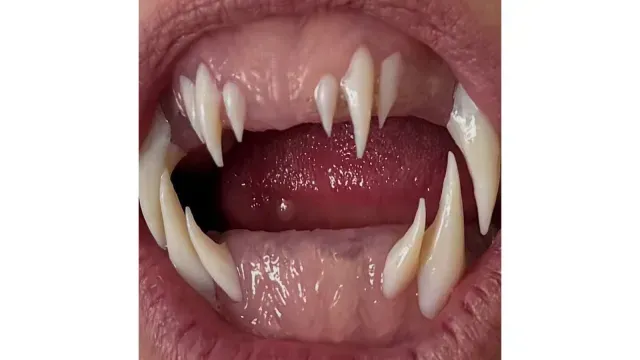 Primera imagen del disfraz de Heidi Klum.