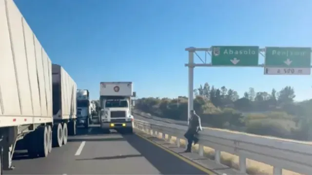 Las filas de vehículos ya abarcan más de 30 kilómetros. Foto: Nmás Bajío