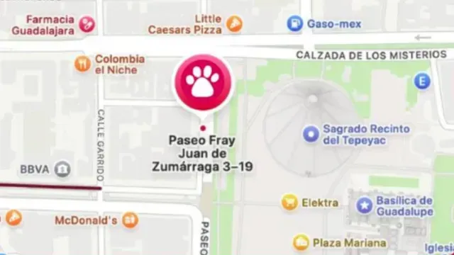 Perros Peregrinos Módulo 2025