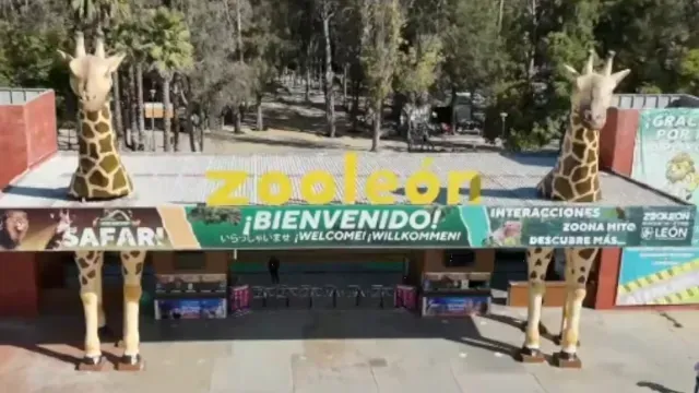 El parque Zoológico estará abierto este sábado de manera normal. Foto: N+