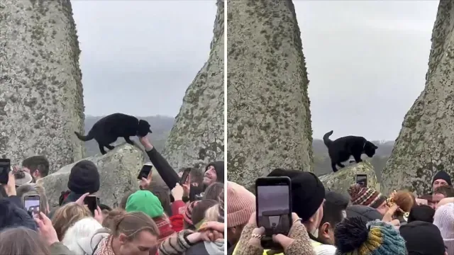 Gato negro se roba la celebración del solsticio en Stonehenge