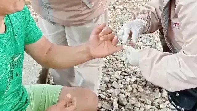 paludismo o malaria