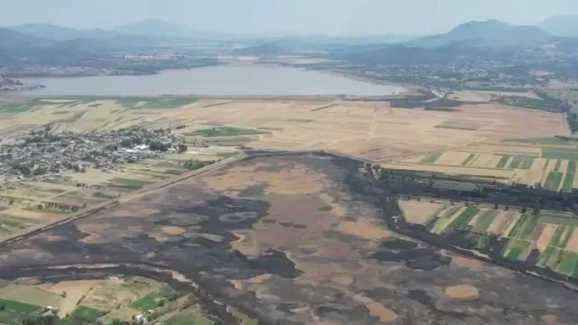 Panorámica del lago de Pátzcuaro muestra la abundancia de pastizales