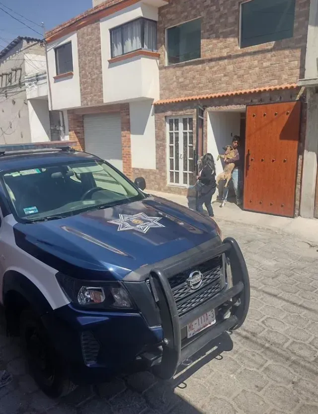 “Detienen” a Perros que Atacaron a Jóvenes en Metepec