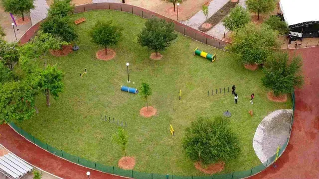 zona canina fundidora monterrey