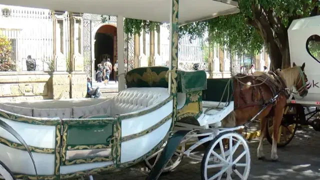 Dejaran de operar las calandrias jaladas por caballos