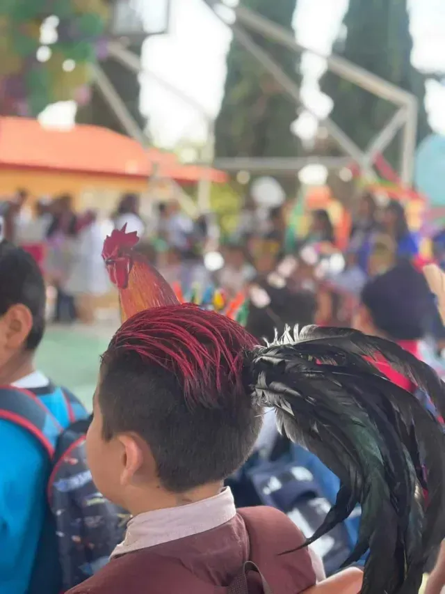 Niño con peinado de gallo