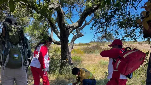 El cuerpo fue localizado en una zona de arboledas. Foto: Bomberos Rosarito