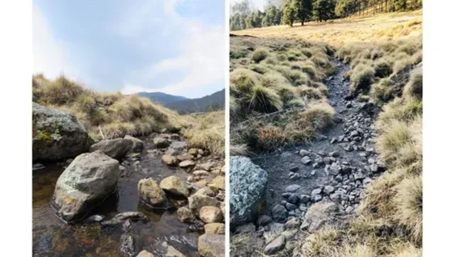 Comparativa del estado de uno de los arroyos en los que vive el ajolote de los volcanes