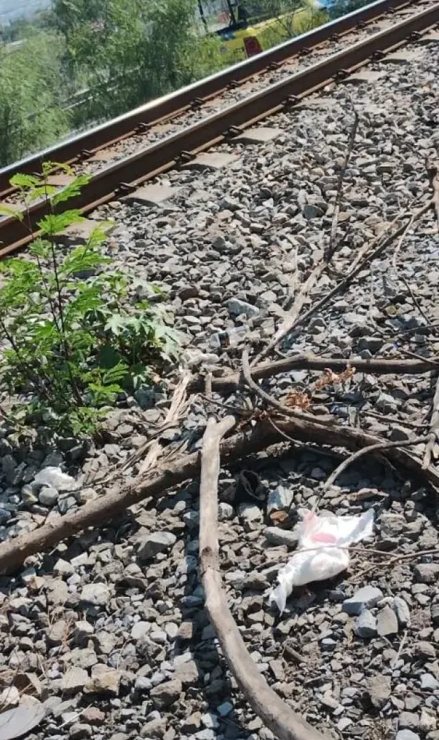 Hombre Intenta Descarrilar al Tren La Emperatriz en Monterrey