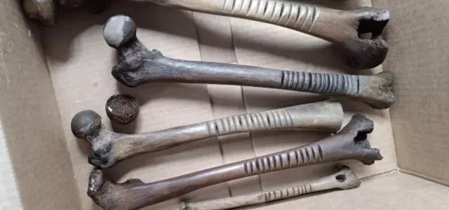Huesos humanos tallados encontrados en el lago de Pátzcuaro