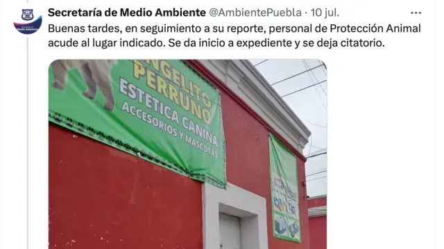 Protección Animal acudió a la estética canina para dar un citatorio. Foto: x @AmbientePuebla
