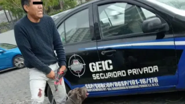 Sujeto pasea a sus perros sin correa en Lomas de Angelópolis. Foto: Facebook Maricruz Romero