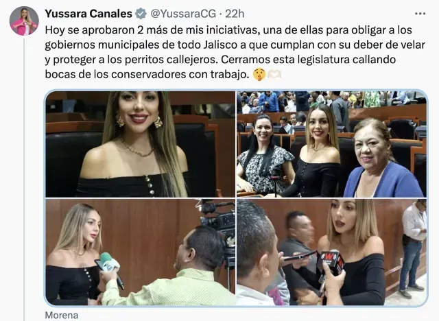 Diputada de Morena propone ley que podría terminar en sacrificios de perros