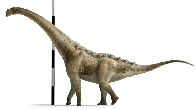 Identifican un nuevo titanosaurio en España. Foto: EFE