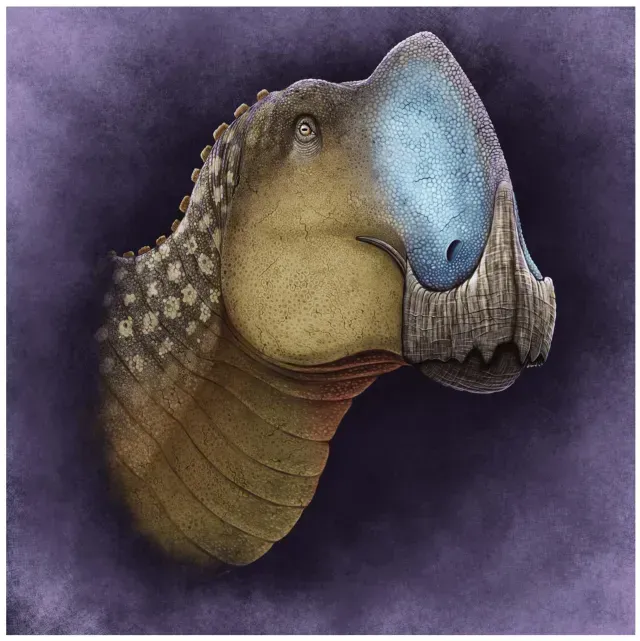 Cohualisaurus lipani, dinosaurio que vivió en Coahuila
