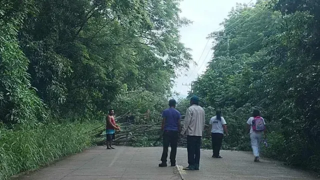 Habitantes bloquean accesos a la cabecera municipal de Tatahuicapan | Foto: Mónica Ricardez | N+