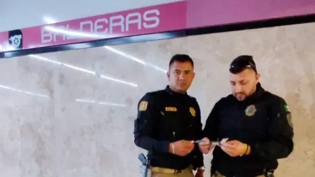 cocodrilos-mexico-metro