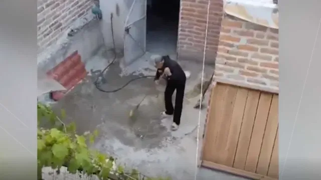 Captan a sujeto que agredió a un perro