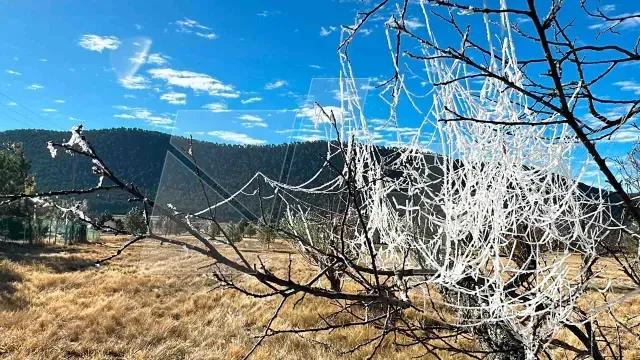 Helada-Sierra-de-Arteaga-Coahuila
