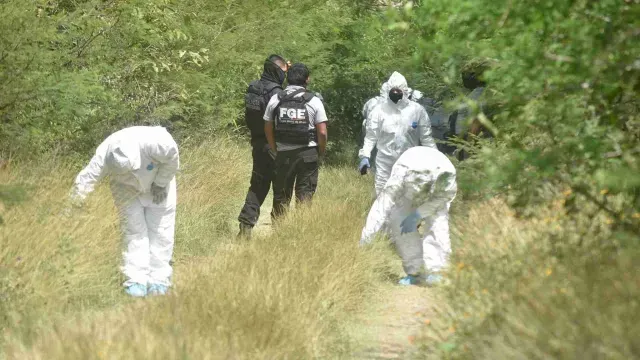 Equipo forense labora en una zona cerca de Chilpancingo en octubre de 2022. Foto: Cuartoscuro | Archivo
