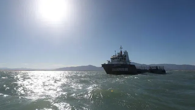 Semar y Sea Shepherd avanzan en la protección de la vaquita marina