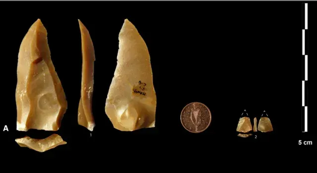 Puntas encontradas por investigadores en Francia