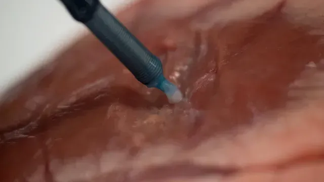 Bioimpresora 3D depositando tejido en un corazón de cordero