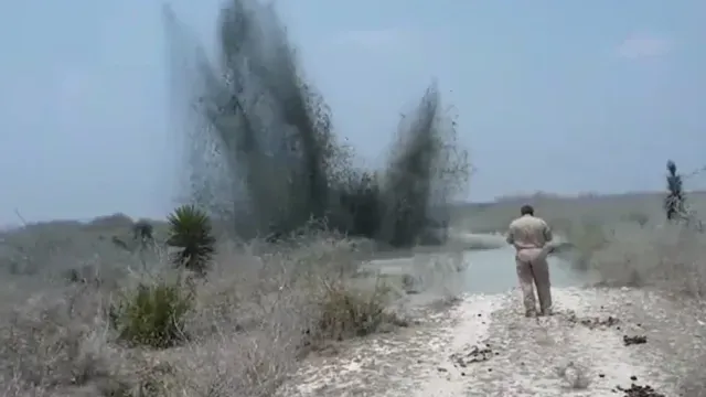 Fuga ocurrida en el 2021