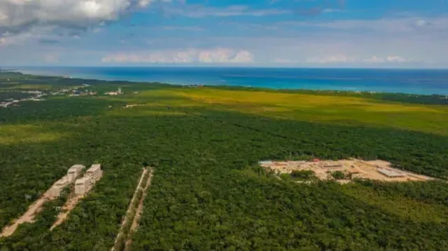 La Guardia Nacional protege la nueva Área de Protección de Flora y Fauna Jaguar