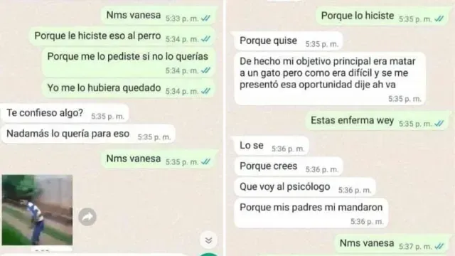 Se difundió parte de la conversación con la menor. Foto: Facebook @ Esperanza Canina Huauchinango