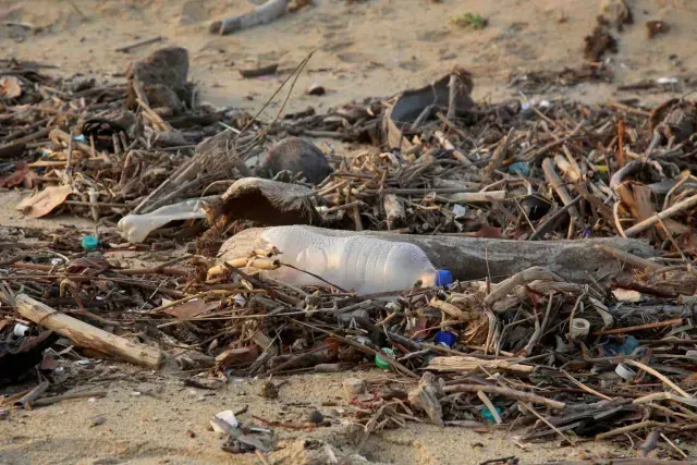 Plástico arrojado por la marea en playas de México