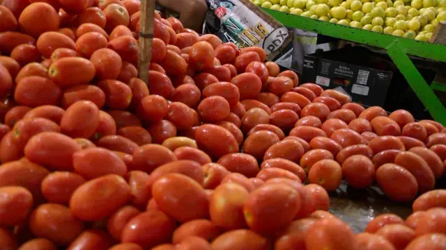 tomates compra venta en mercado
