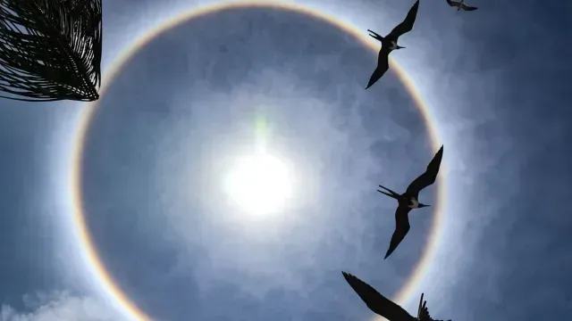 Así luce un halo solar en México