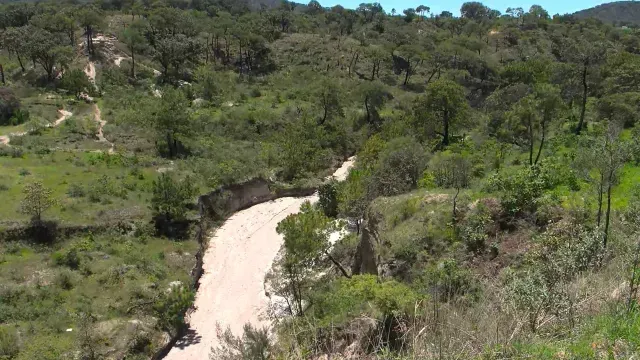 Dentro de esta zona del Bosque de La Primavera fueron localizados restos Óseos