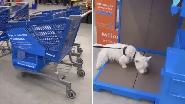 Walmart pondrá carritos de supermercado aptos para mascotas