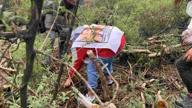 Búsqueda de Pamela Gallardo en el Ajusco