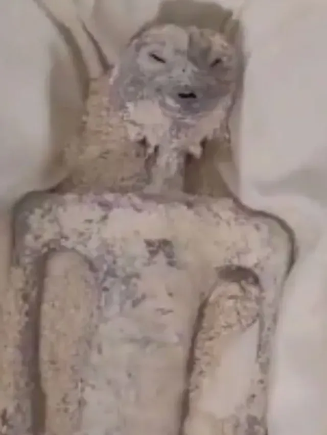 Captan a Detalle a Extraterrestres que Presentó Maussan: Video
