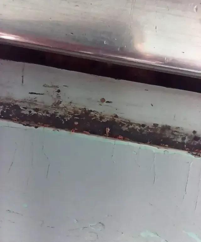 Denuncian Supuesta Plaga de Chinches en el Metro CDMX