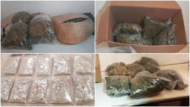 Decomisan droga tras cateos en CDMX y Edomex